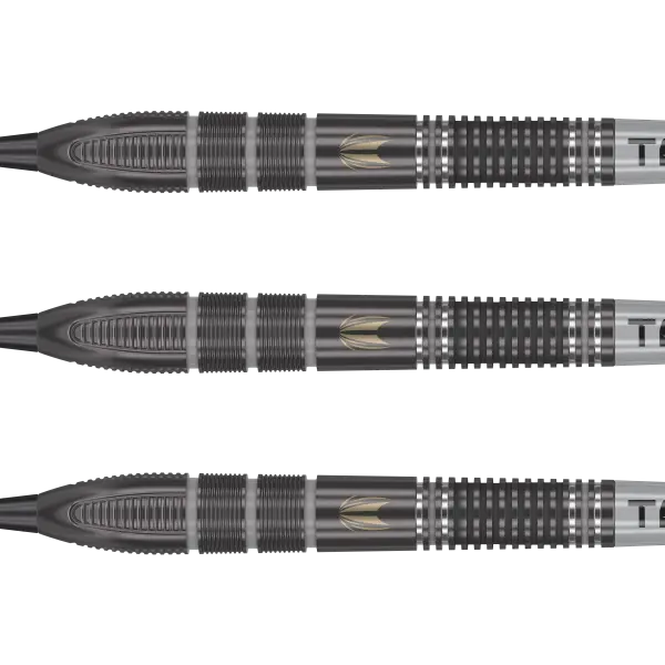 Target - Swiss Point - Nathan Aspinall x Echo - Steeldart