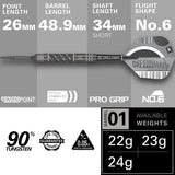 Target - Swiss Point - Dimitri van den Bergh x Echo - Steeldart