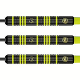 Winmau - Michael van Gerwen Ambition - Steeldart
